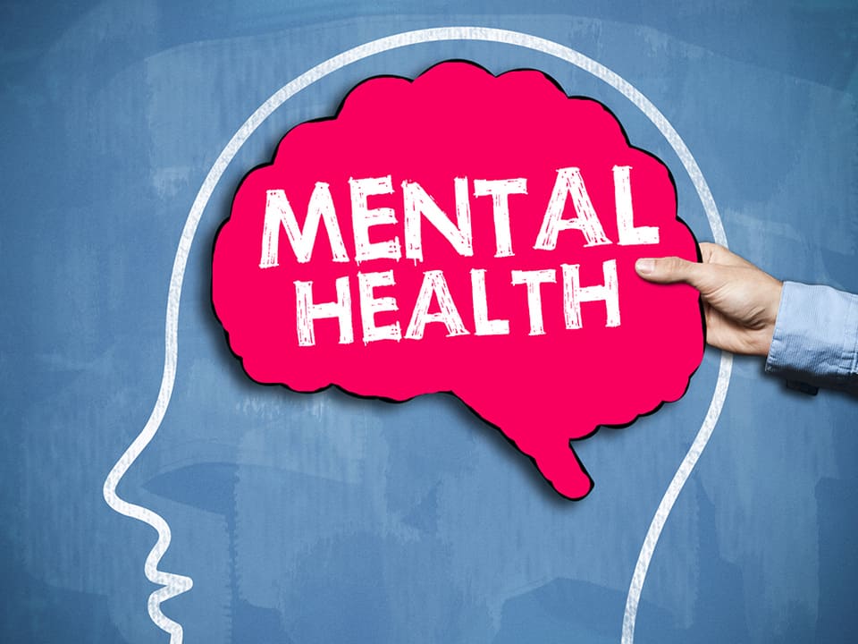 What Are The 6 Components Of Good Mental Health?