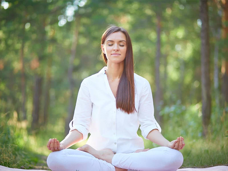 What are the 8 rules of meditation?