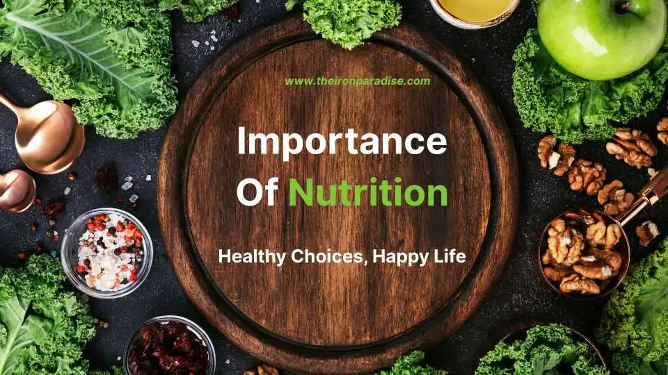 Understanding Nutrition and Its Role in Your Health