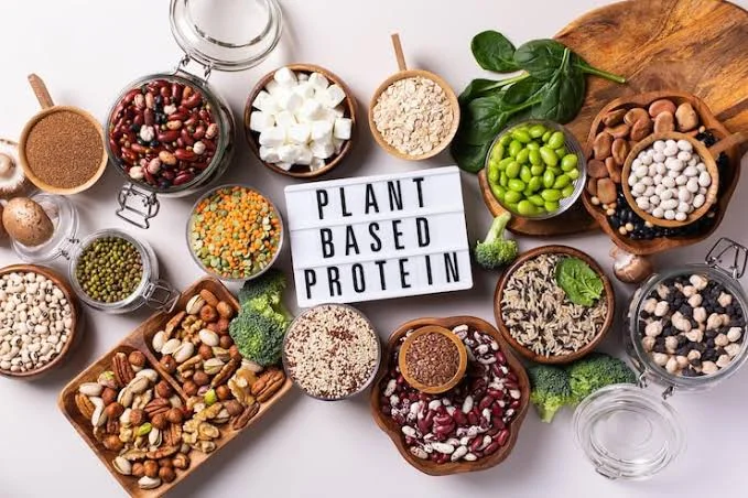 Plant Based Protein Sources For Beginners